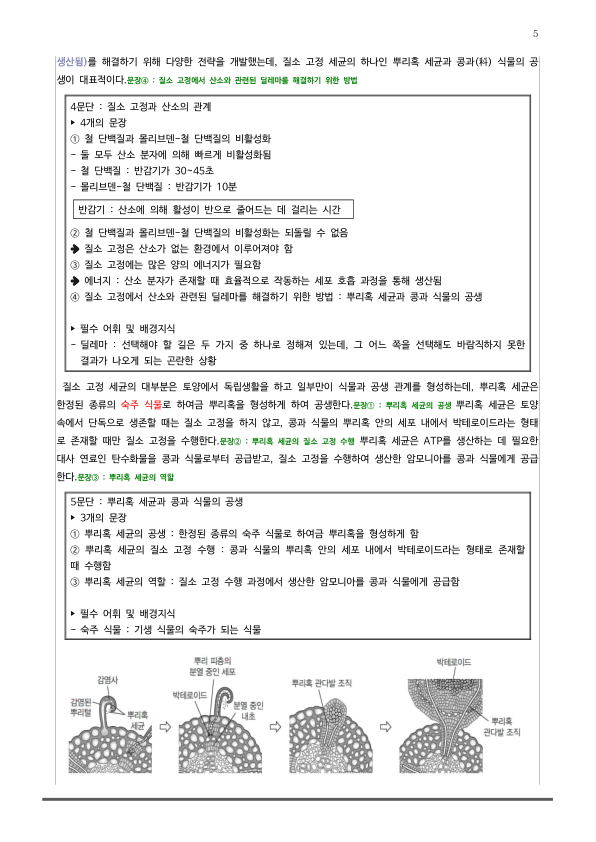 [2026 수능특강 독서] 과학기술01 뿌리혹 세균의 질소 고정 (분석 및 문제)_preview_5