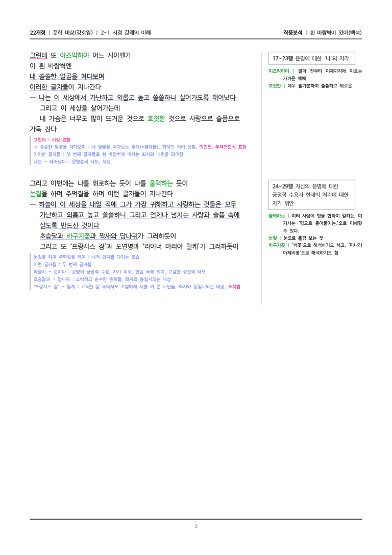 [22개정] 문학 비상(강) 2-1(2) 흰 바람벽이 있어_작품분석_preview_3