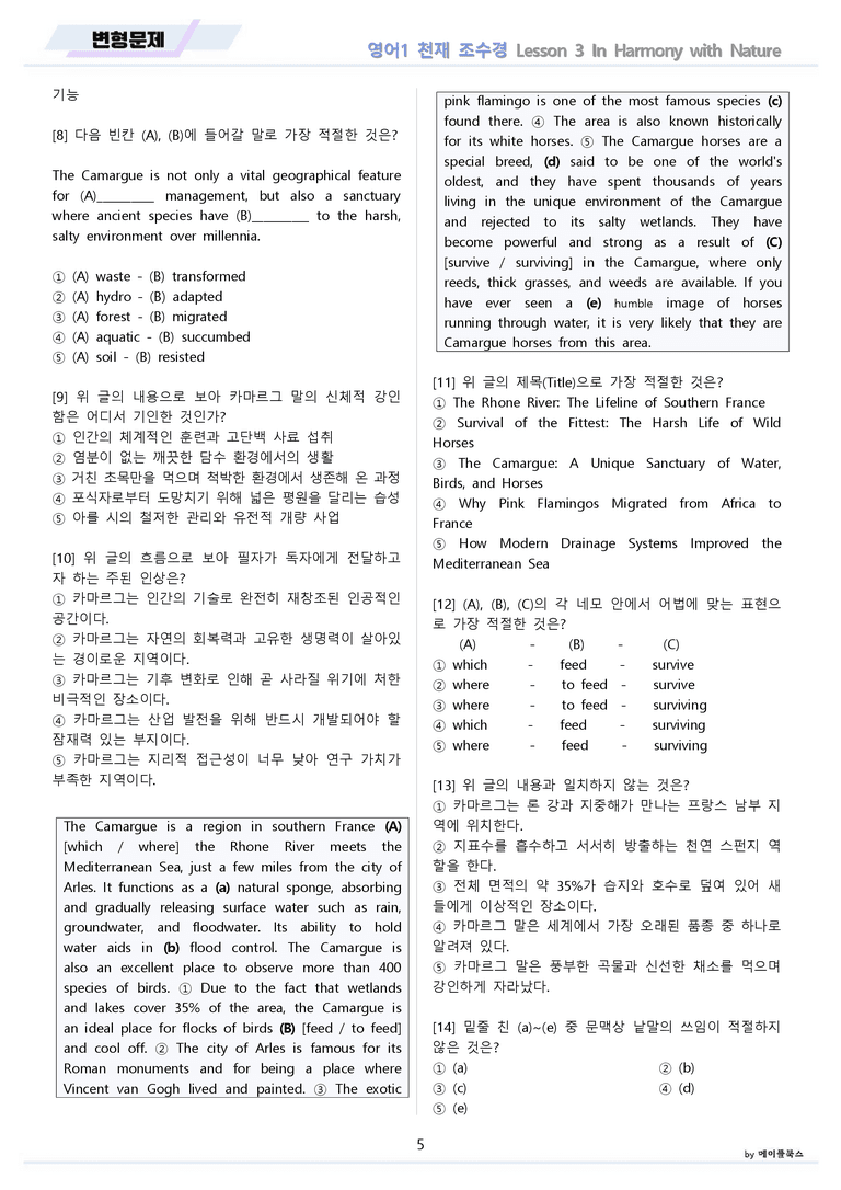 영어1 천재 조수경 변형문제 03 3강 3과 by 메이플북스 22년 개정_preview_5