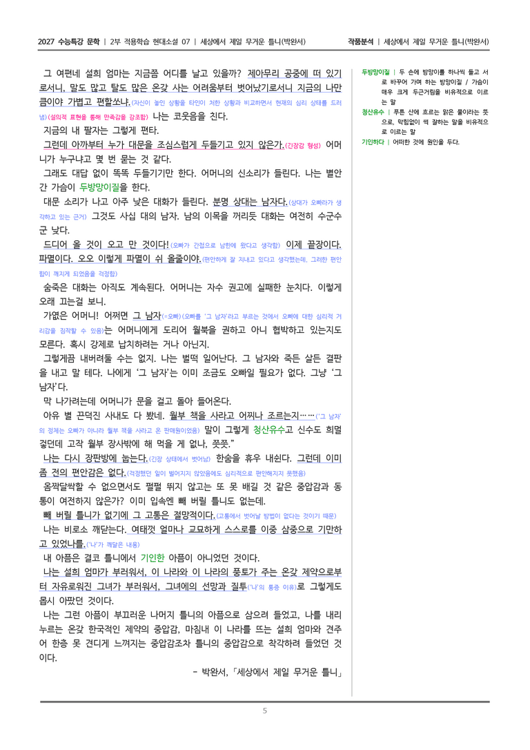 [2027 수능특강 문학] 적용학습 현대소설 07 세상에서 제일 무거운 틀니_작품분석_preview_5