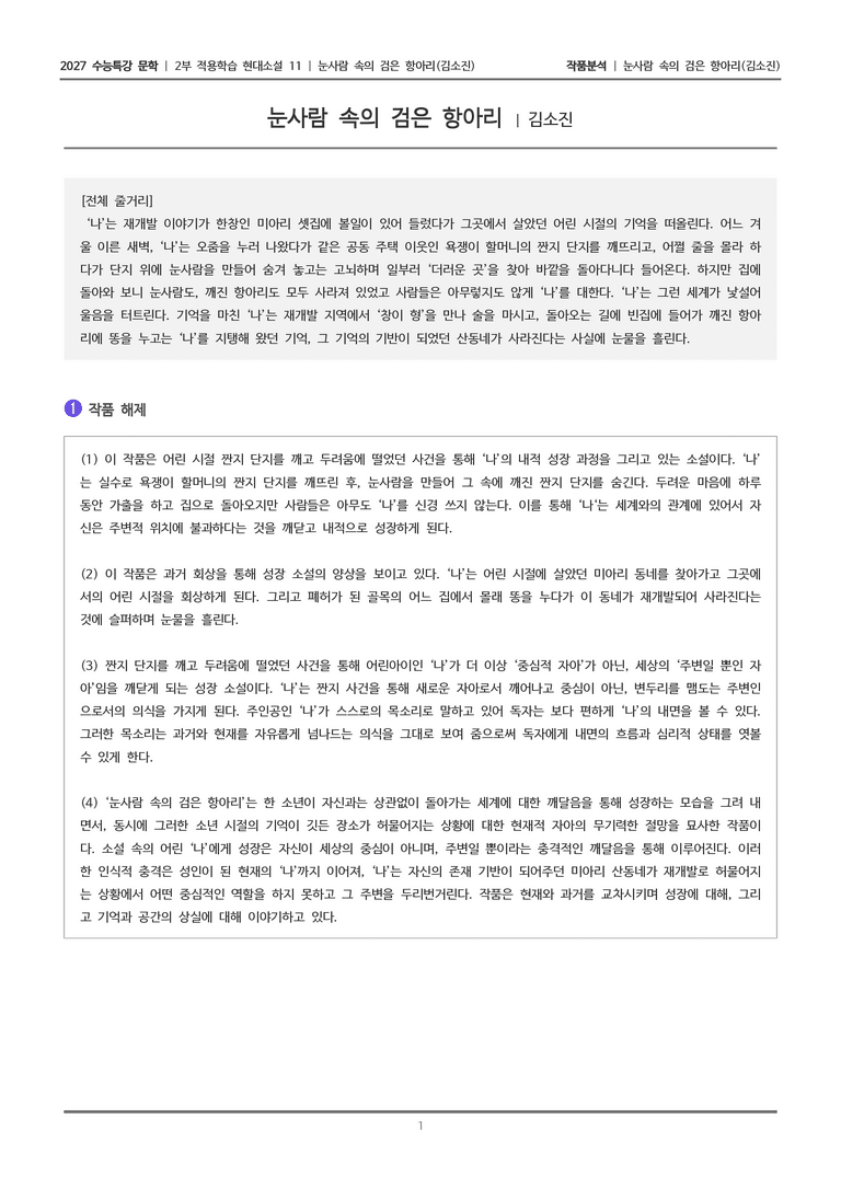 [2027 수능특강 문학] 적용학습 현대소설 11 눈사람 속의 검은 항아리_작품분석_preview_1