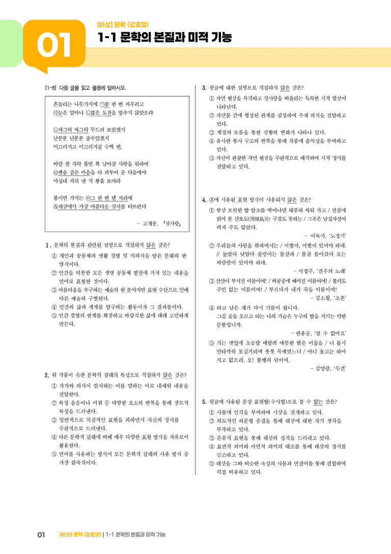 문학의 본질과 미적 기능_고난도 심화문제_preview_1