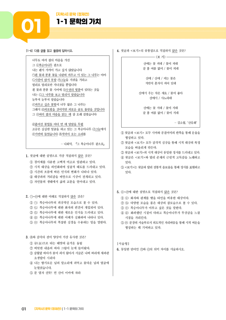 1-1 문학의 가치_고난도 심화문제_preview_1