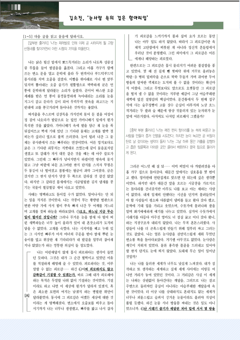 적용학습_현대소설11_김소진, '눈사람 속의 항아리'_preview_1