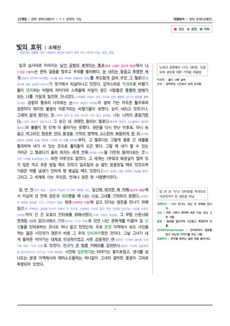 1-1 문학의 기능_빛의 호위_작품분석_preview_3