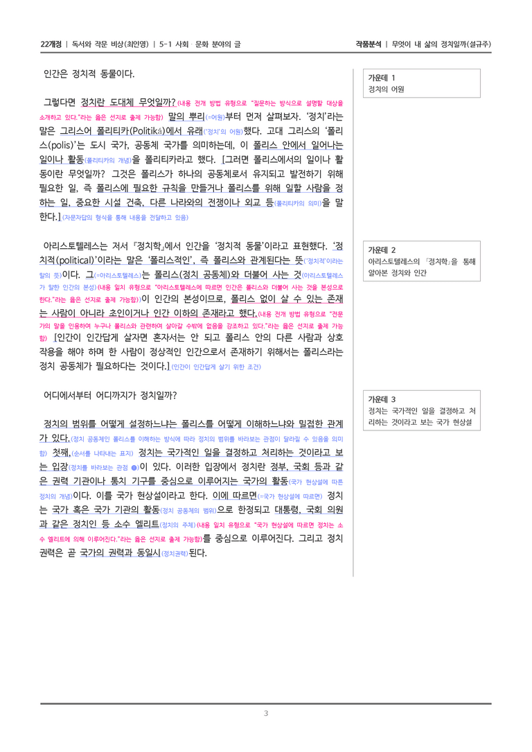 사회·문화 분야의 글_무엇이 내 삶의 정치일까_작품분석_preview_3