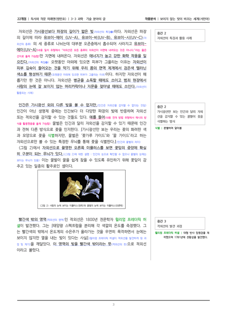 과학·기술 분야의 글_보이지 않는 빛이 비추는 세계_작품분석_preview_3