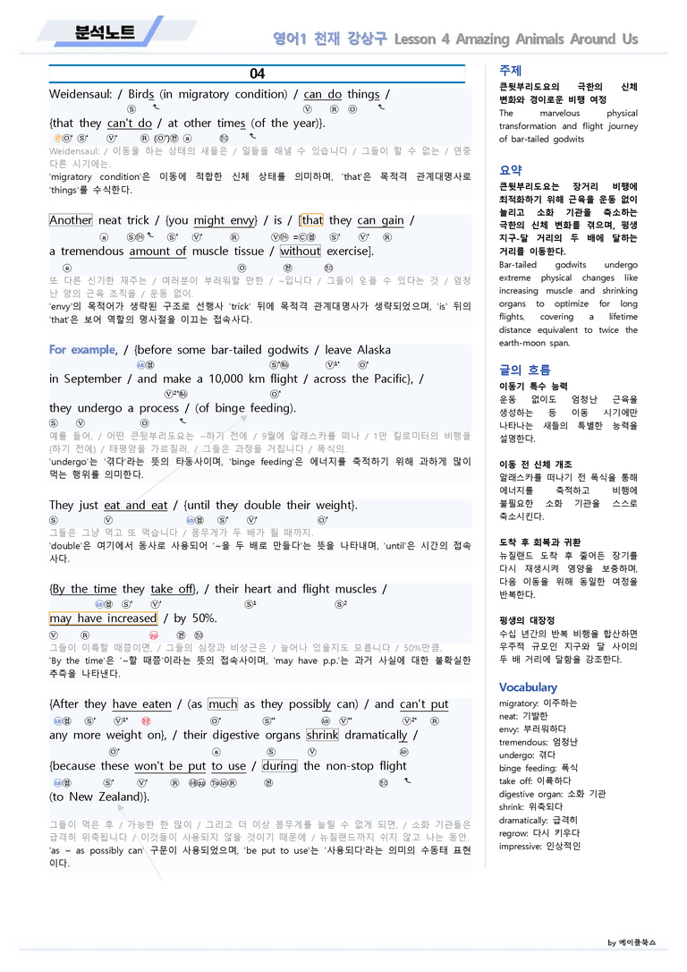 영어1 천재 강상구 04 4강 4과 분석노트 by 메이플북스 22년 개정_preview_7
