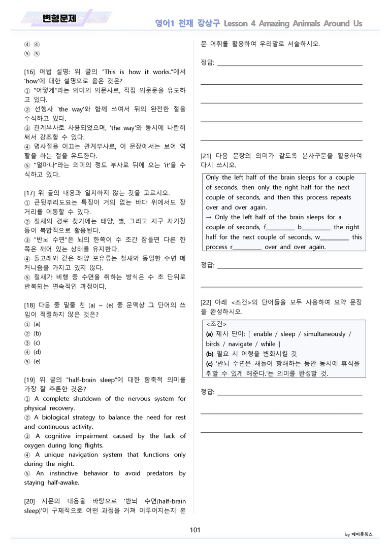 영어1 천재 강상구 4강 4과 분석 변형 워크북 올인원 by 메이플북스_preview_101