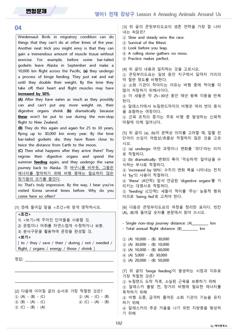 영어1 천재 강상구 4강 4과 분석 변형 워크북 올인원 by 메이플북스_preview_102