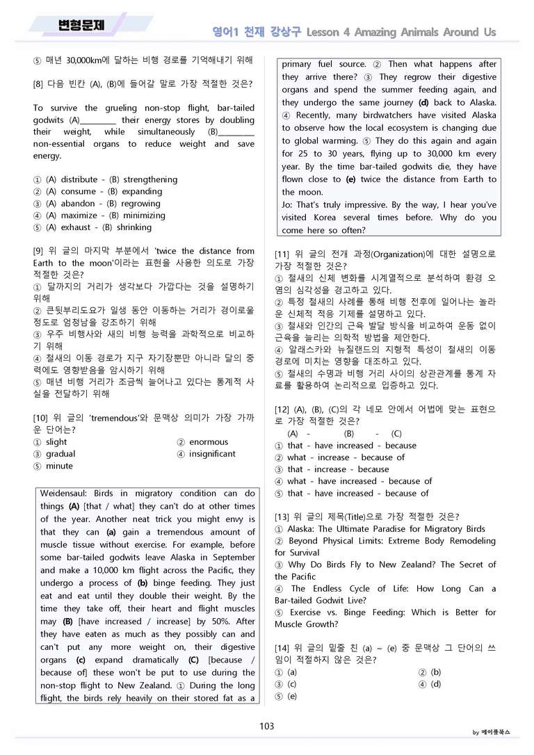영어1 천재 강상구 4강 4과 분석 변형 워크북 올인원 by 메이플북스_preview_103