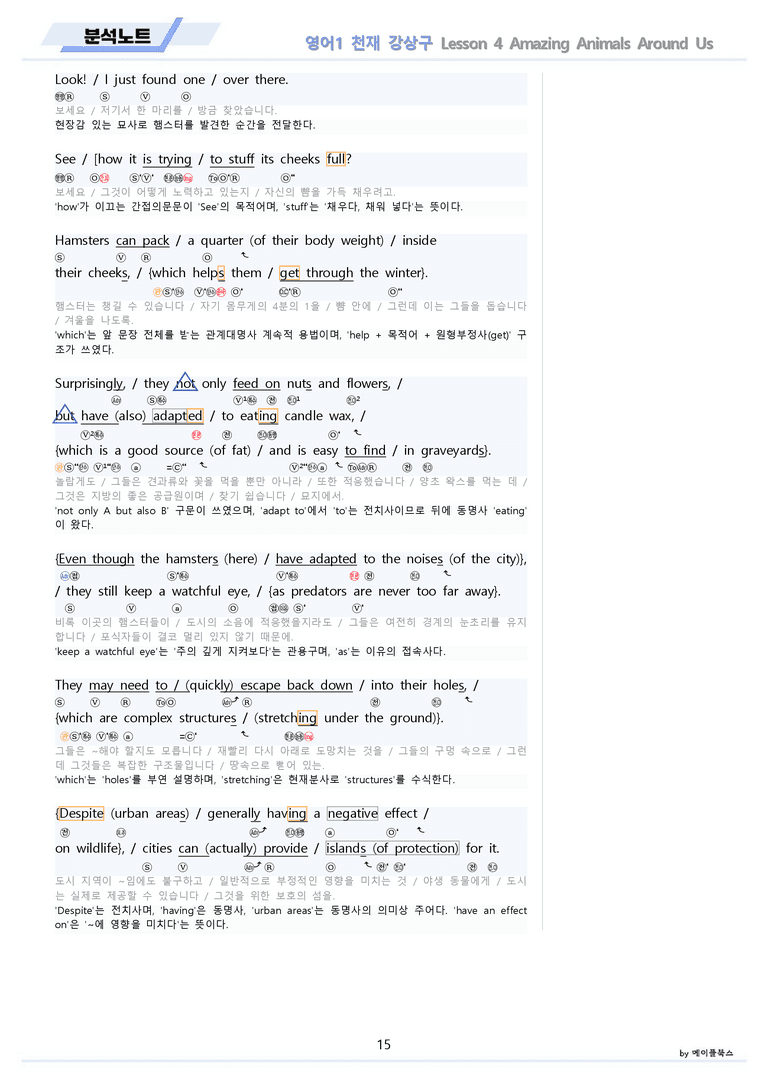 영어1 천재 강상구 4강 4과 분석 변형 워크북 올인원 by 메이플북스_preview_15