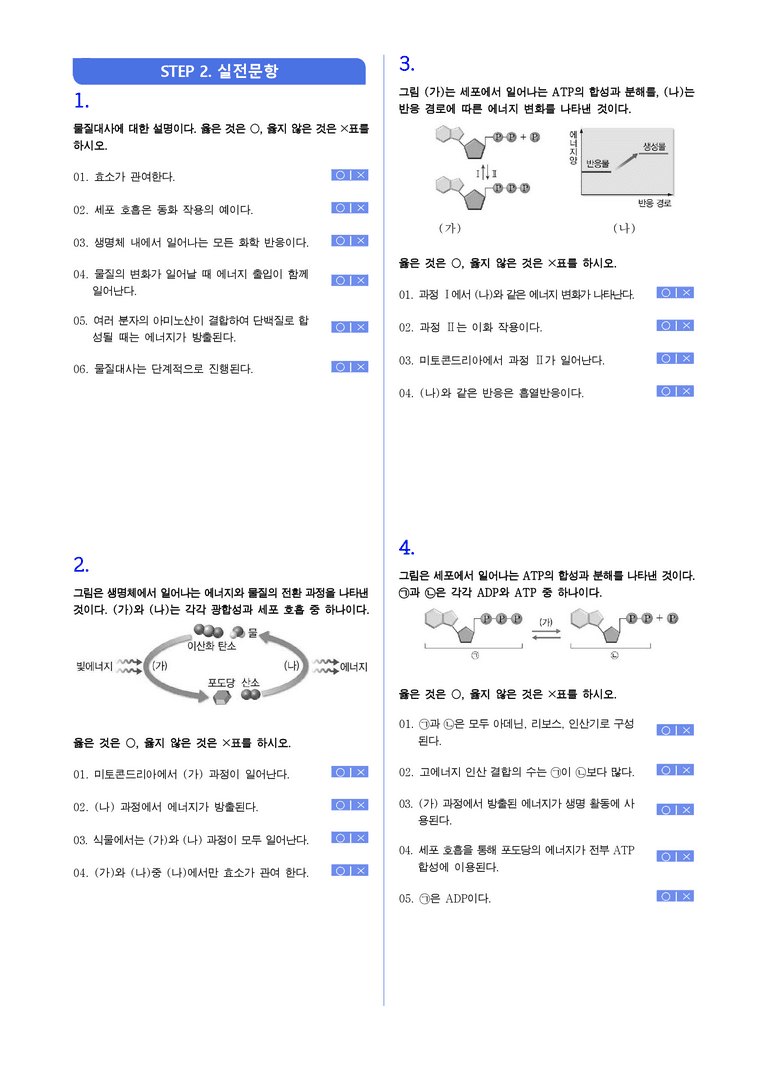 1-3생명활동과 에너지 | STEP1 개념확인문제(빈칸/OX)_preview_2