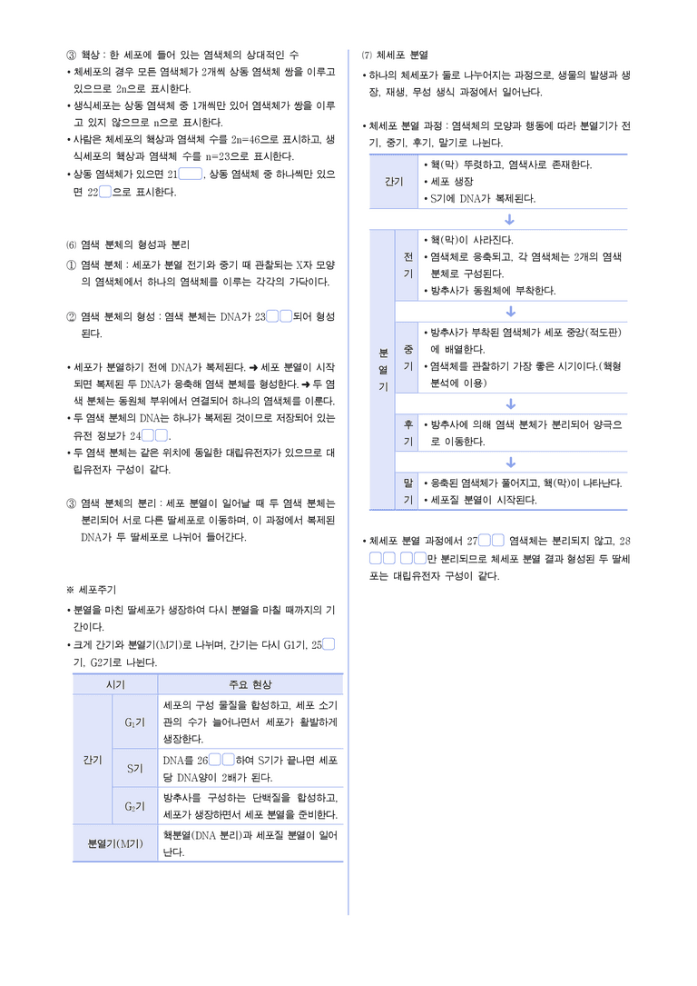 4-1 유전정보와 염색체 | STEP1 개념확인문제(빈칸/OX)_preview_2