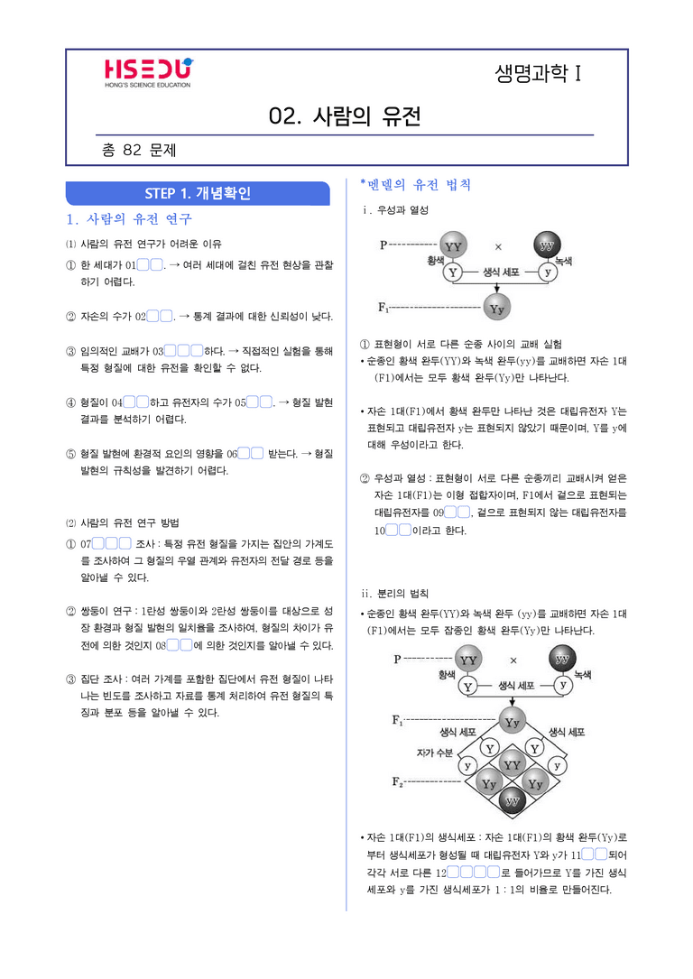4-2 생식세포 형성과 사람의 유전 | STEP1 개념확인문제(빈칸/OX)_preview_1