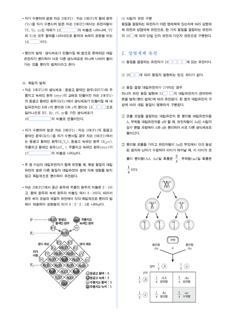 4-2 생식세포 형성과 사람의 유전 | STEP1 개념확인문제(빈칸/OX)_preview_2