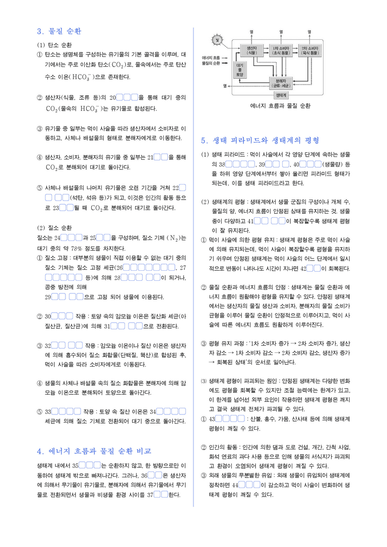 5-2 에너지의 흐름과 생물 다양성 | STEP1 개념확인문제(빈칸/OX)_preview_2