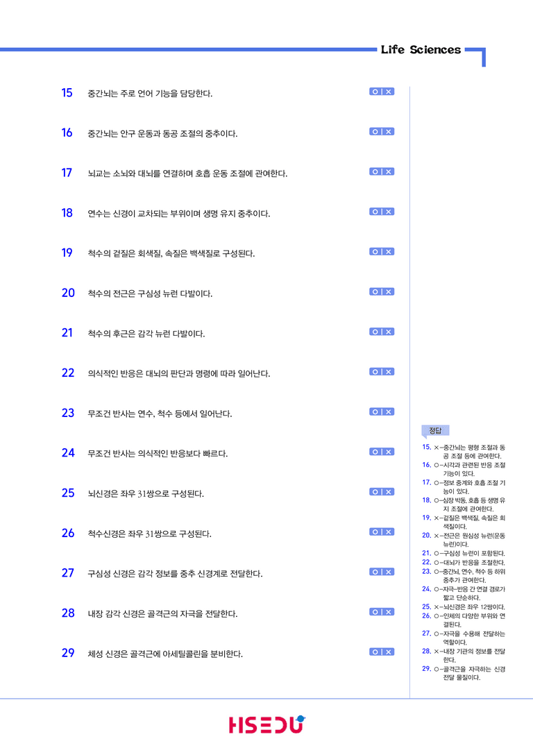 2-2 신경계의 구조와 기능 | STEP1 개념확인문제(OX/단답형)_preview_2