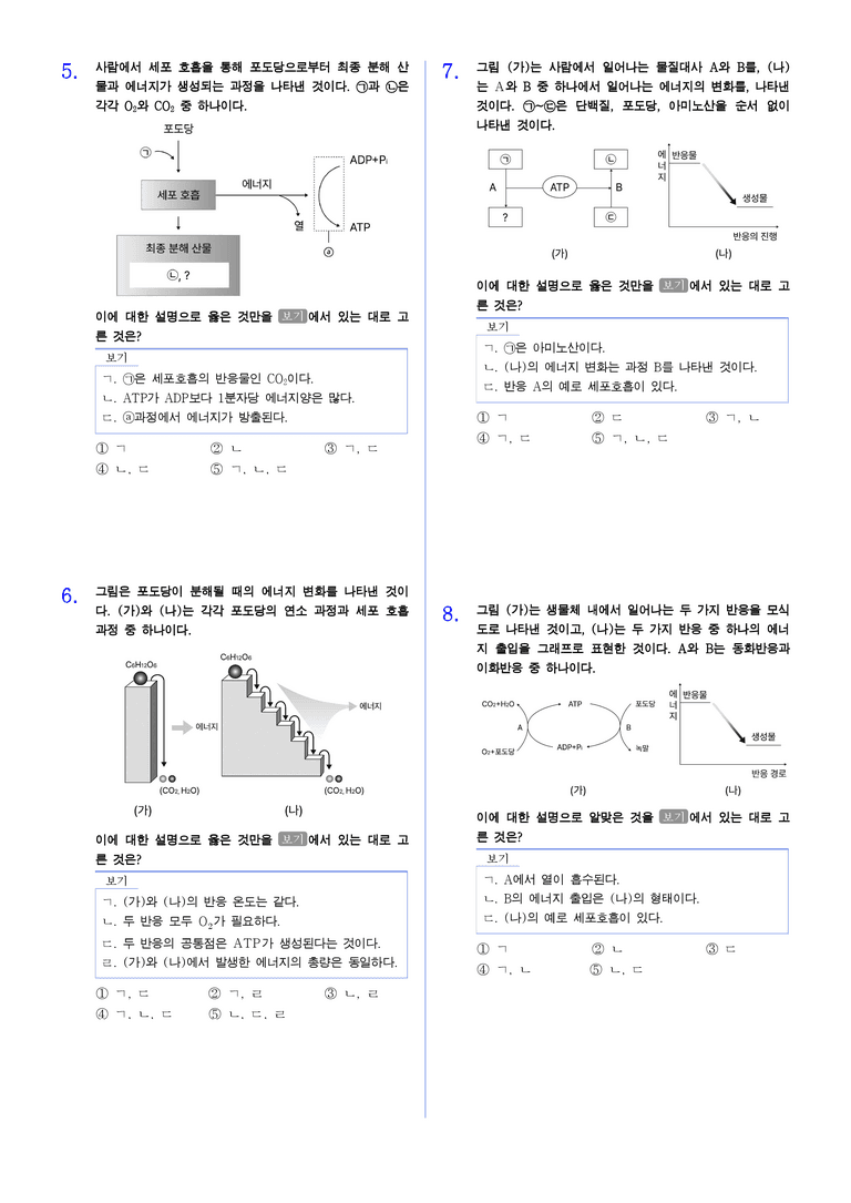 1-3 물질대사와 에너지 | STEP2 최다빈출대표유형_preview_2
