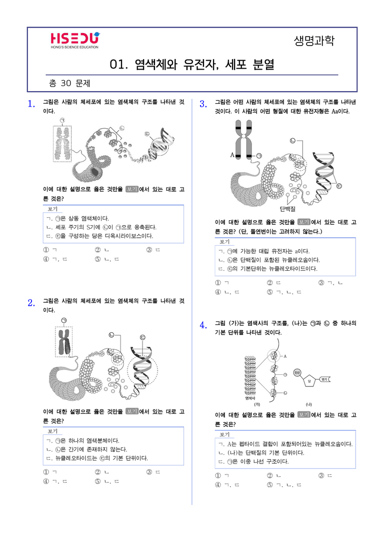 3-1 염색체와 유전자, 세포 분열 | STEP2 최다빈출대표유형_preview_1