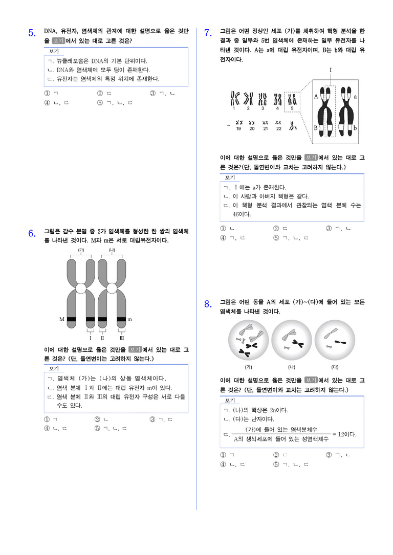 3-1 염색체와 유전자, 세포 분열 | STEP2 최다빈출대표유형_preview_2
