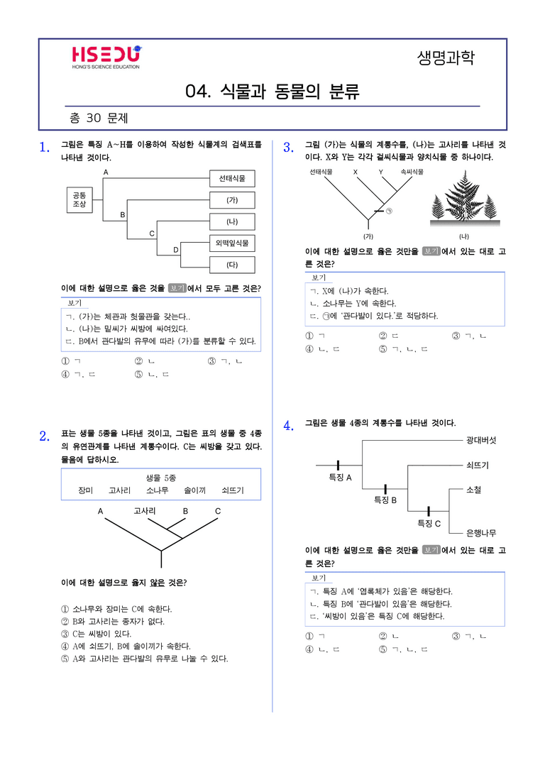 3-4 식물과 동물의 분류 | STEP2 최다빈출대표유형_preview_1