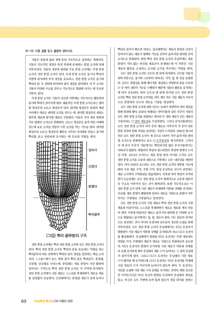 06 식물의 생장_기출 적중 문제01_preview_3
