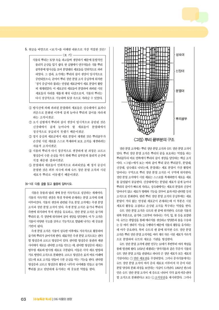 06 식물의 생장_고난도 심화문제02_preview_3