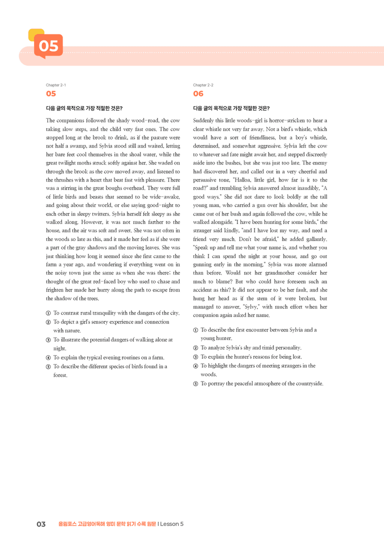 올림포스 고급영어독해 영미 문학 읽기 Lesson 5 | STEP3 기출변형문제_preview_3