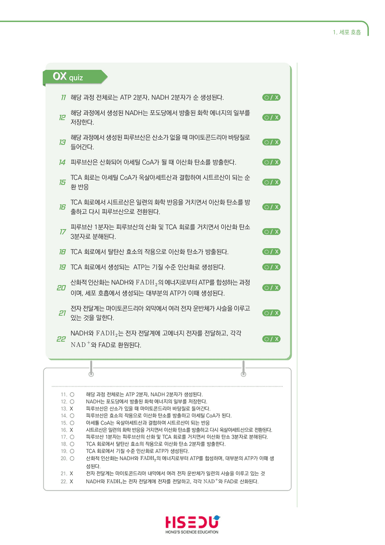 3-1 세포 호흡 | STEP1 개념확인문제(OX)_preview_2