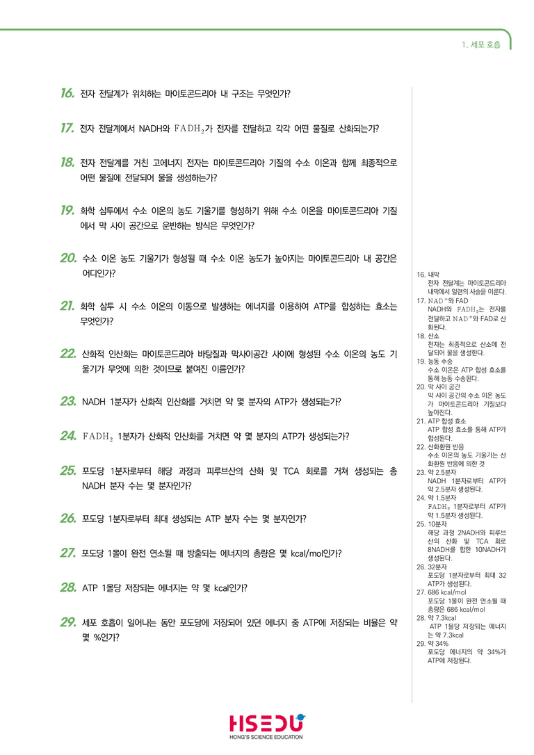 3-1 세포 호흡 | STEP1 개념확인문제(단답형)_preview_2