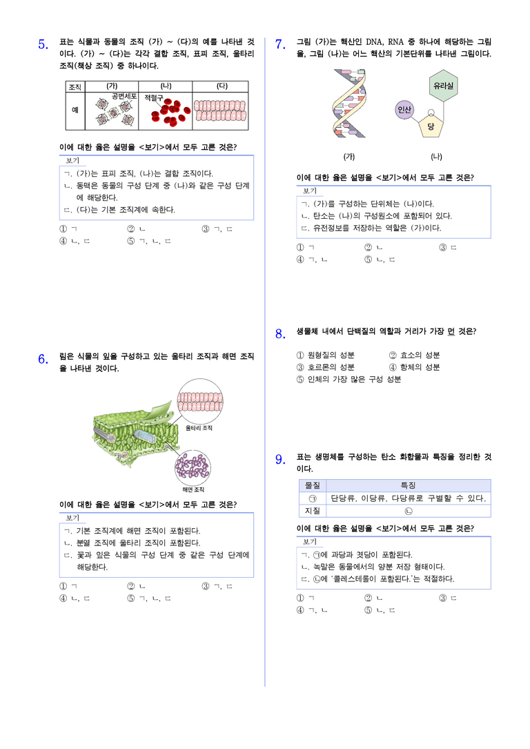 1-1 생명체의 구성 물질 | STEP2 최다빈출대표유형_preview_2