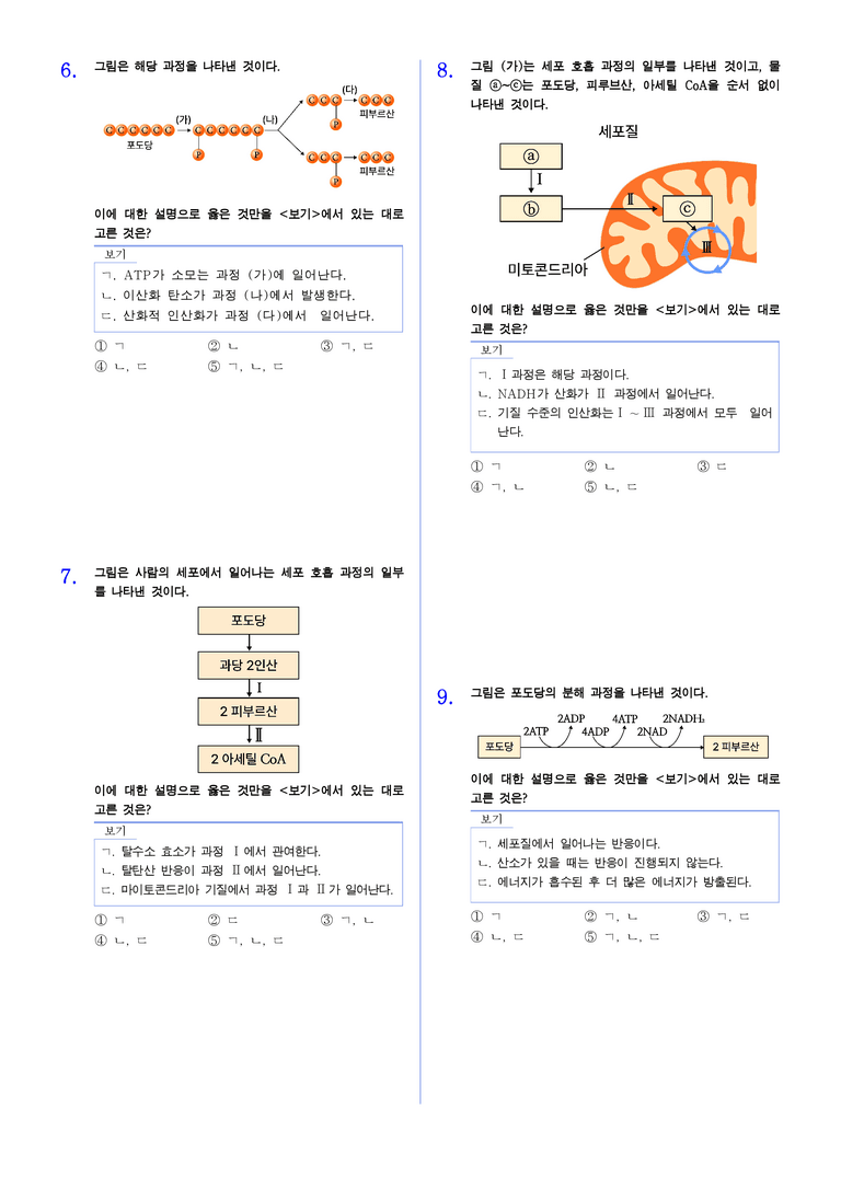 3-1 세포 호흡 | STEP2 최다빈출대표유형_preview_2