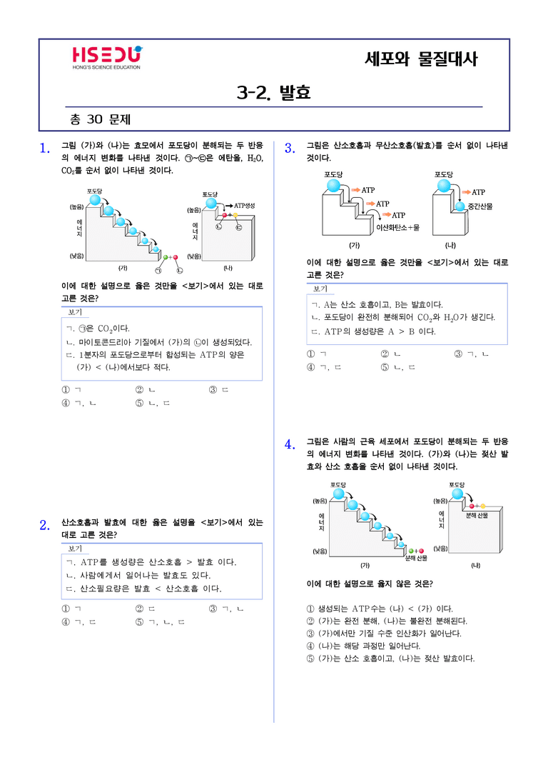3-2 발효 | STEP2 최다빈출대표유형_preview_1