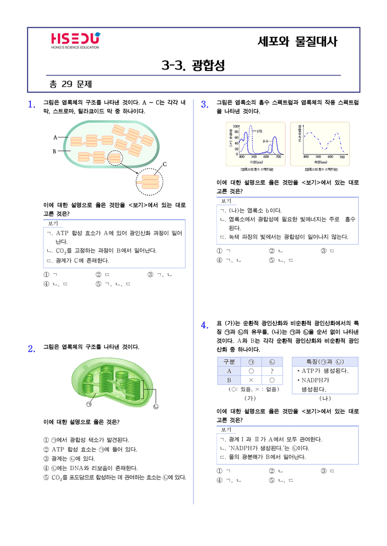 3-3 광합성 | STEP2 최다빈출대표유형_preview_1