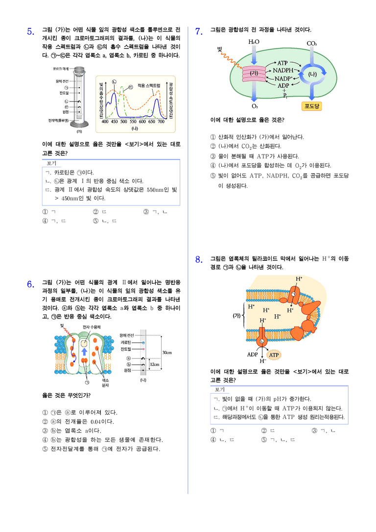 3-3 광합성 | STEP2 최다빈출대표유형_preview_2