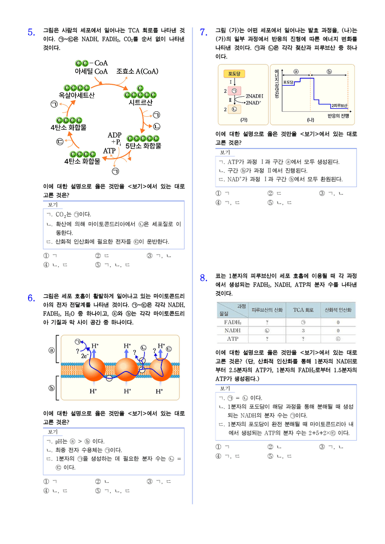 3단원 세포호흡과 광합성 | STEP5 대단원실전모의고사_preview_2