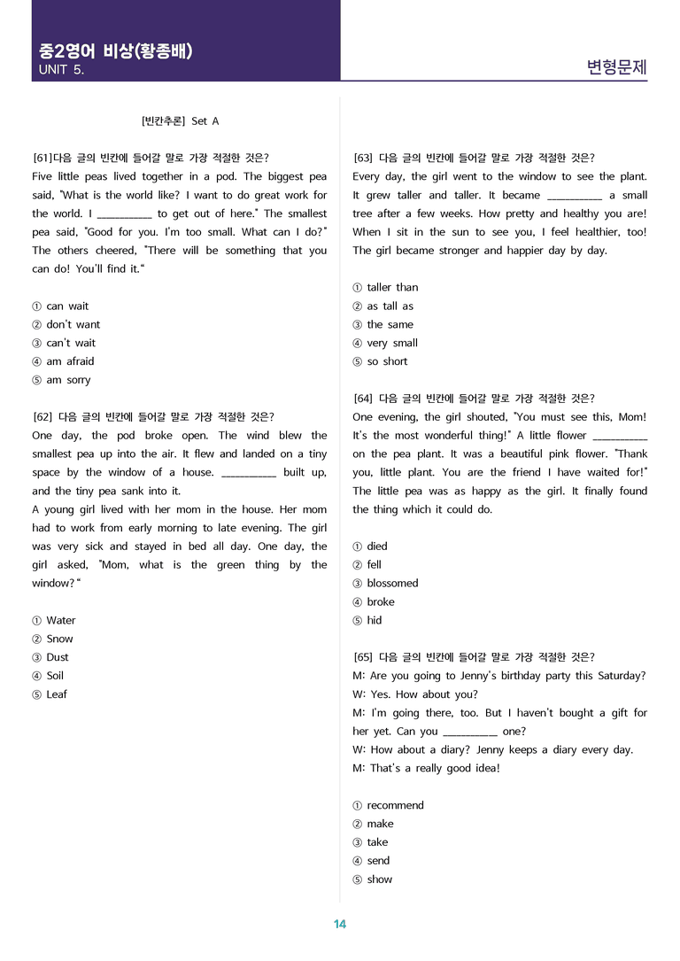 [고난도 객관식 변형문제] 중학 영어 2 비상(황) 5과 변형문제 Set A (120제)_preview_14