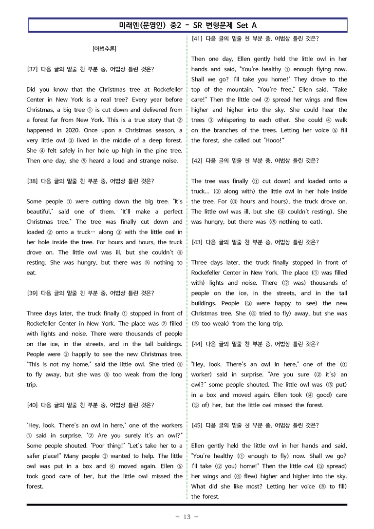 미래엔(문영인) 중2 - SR 변형문제 Set A (90제) by 이쌤문제은행 _preview_13