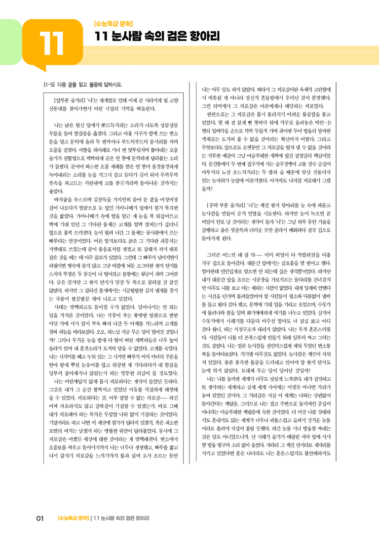 11 눈사람 속의 검은 항아리_고난도 심화문제02_preview_1