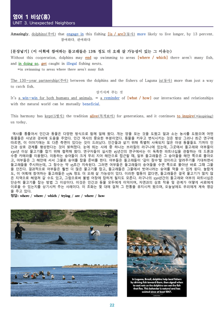 [한 권으로 끝내는 올인원] 고등 영어 Ⅰ 비상(홍) 3과 한 권에 끝내기_preview_22