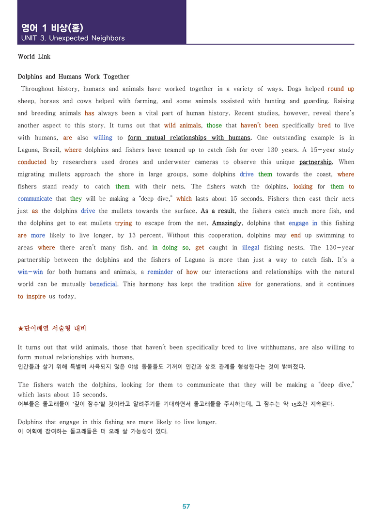 [한 권으로 끝내는 올인원] 고등 영어 Ⅰ 비상(홍) 3과 한 권에 끝내기_preview_57