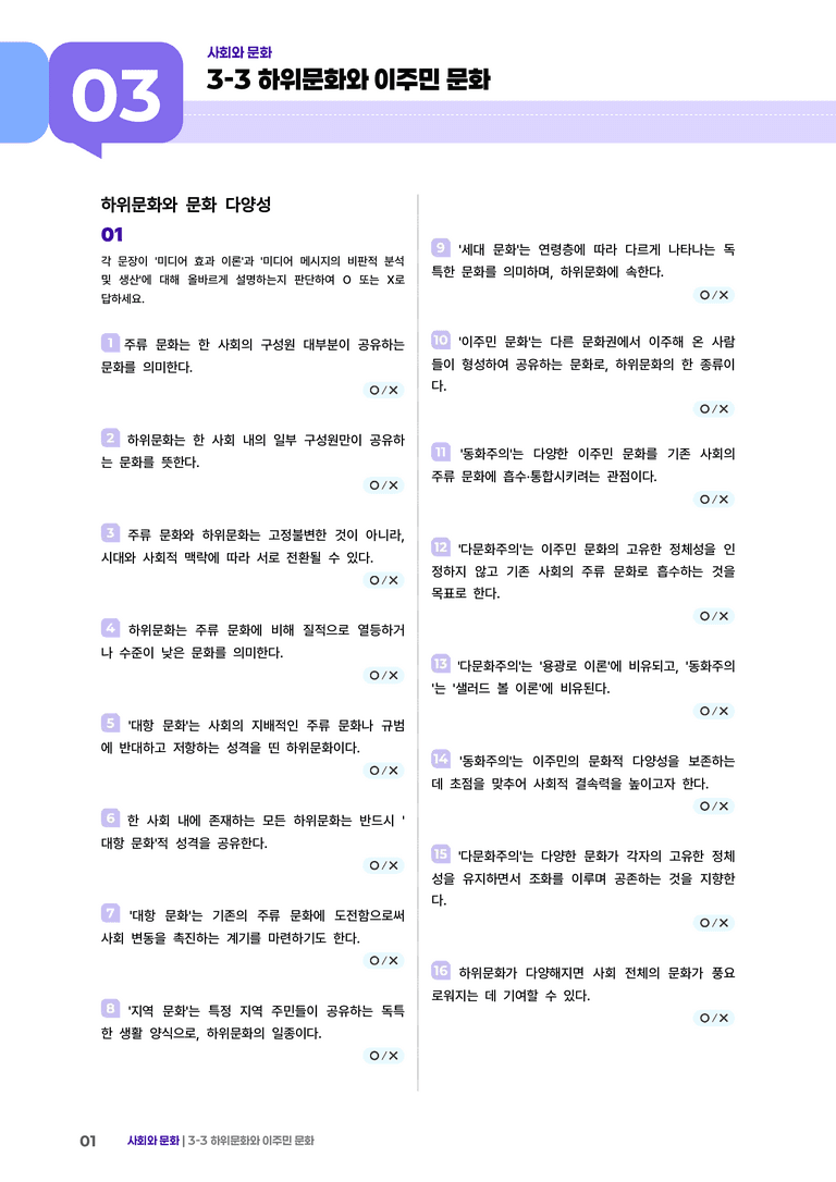 3-3 하위문화와 문화 다양성 | (2) 개념확인문제_preview_1