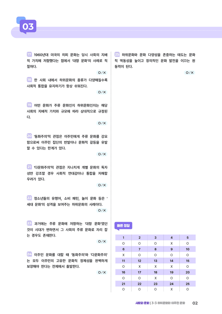 3-3 하위문화와 문화 다양성 | (2) 개념확인문제_preview_2