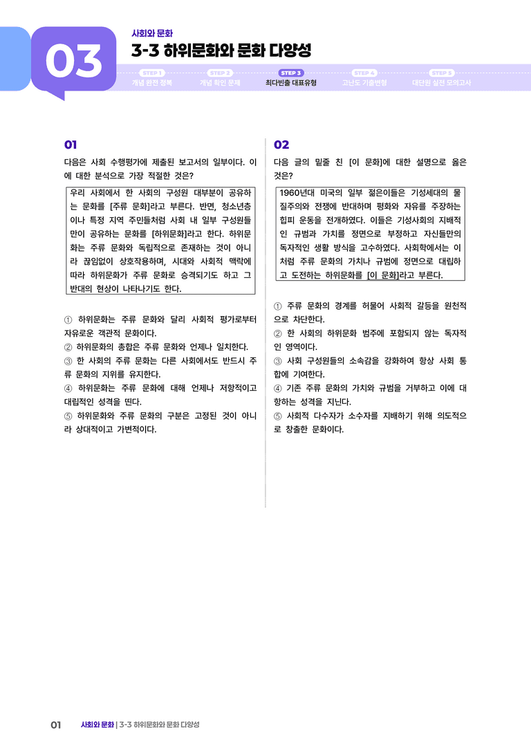 3-3 하위문화와 문화 다양성 | (3) 최다빈출대표유형_preview_1