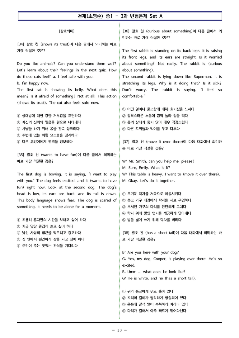 천재(소영순) 중1 - 3과 변형문제 Set A (110제) by 이쌤문제은행_preview_10