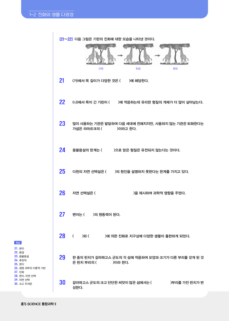 1-2 진화와 생물 다양성 l STEP1 개념확인문제(빈칸)_preview_3