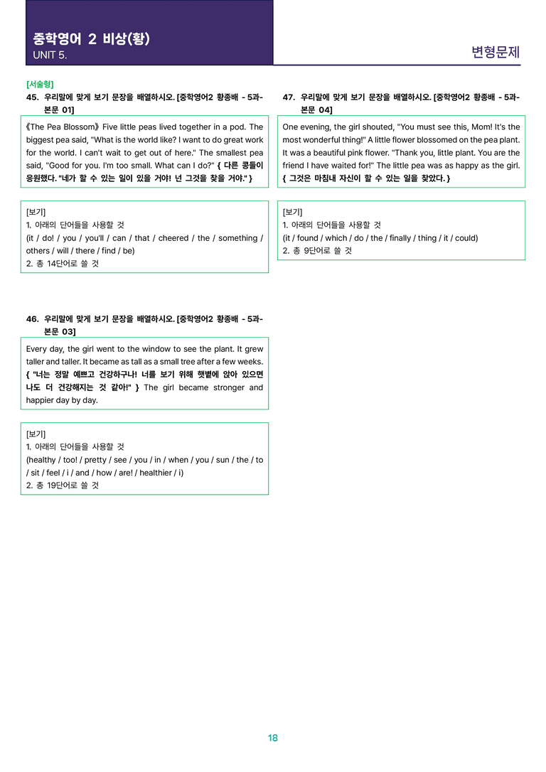 [빠르고 효율적인] 중학 영어 2 비상(황) 5과 변형문제 47제_preview_18