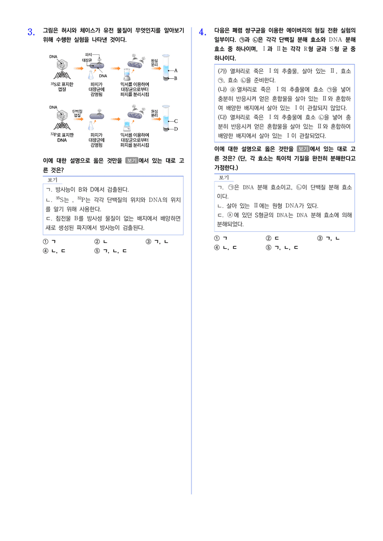 1-3 유전물질 | STEP2 최다빈출대표유형_preview_2