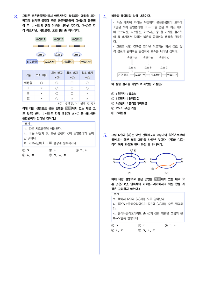 2-1 유전자의 발현 | STEP2 최다빈출대표유형_preview_2